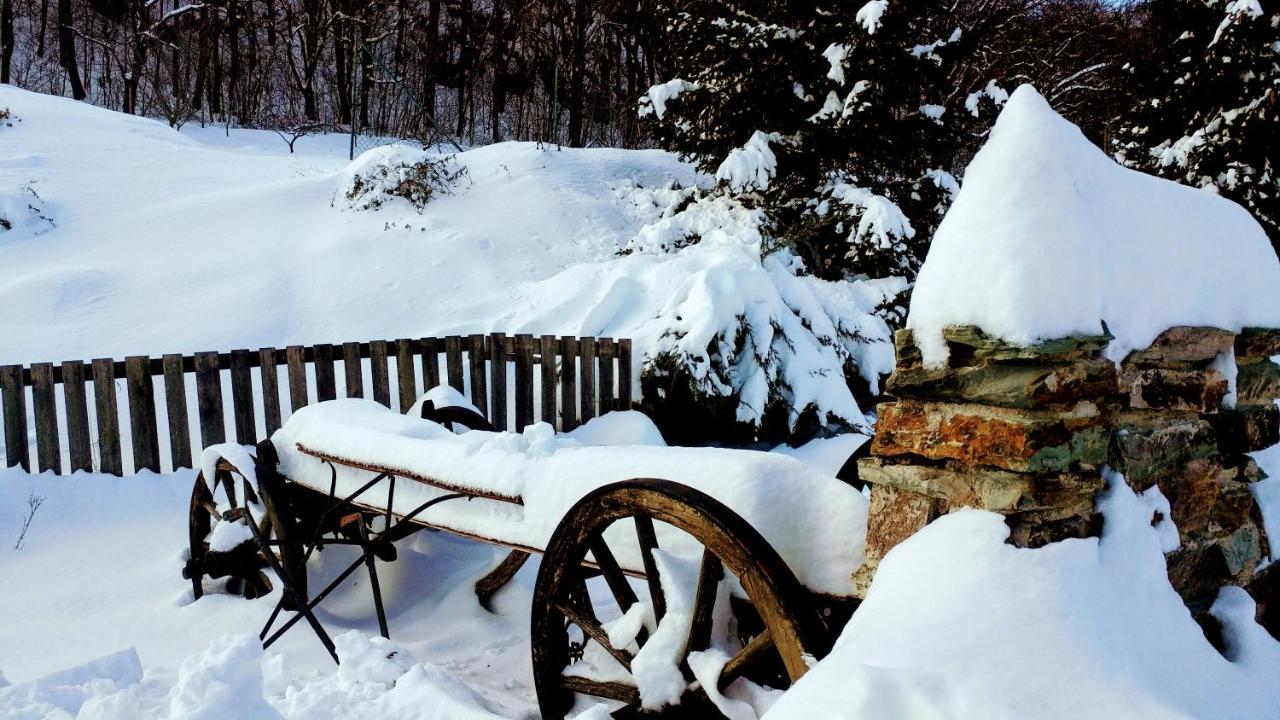 Pod Hradom Restaurant & Pension Topoľčany Eksteriør bilde